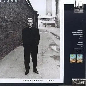 Black: Wonderful Life