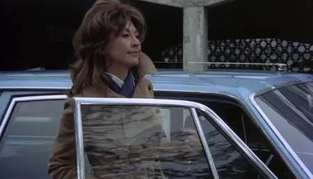 The Love Ban (1973)