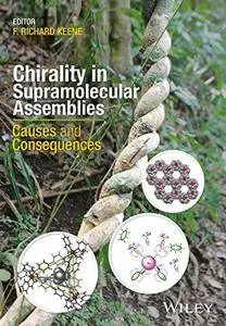 Chirality in Supramolecular Assemblies: Causes and Consequences