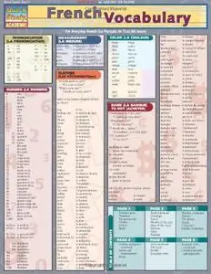 French Vocabulary (Quickstudy: Academic)