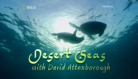 National Geographic - Desert Seas (2011)