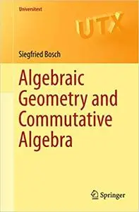 Algebraic Geometry and Commutative Algebra (repost)