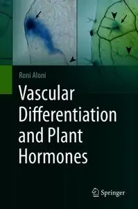 Vascular Differentiation and Plant Hormones