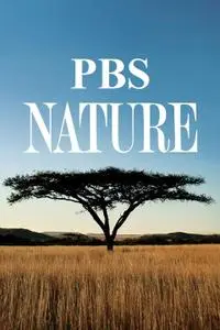PBS - Nature: Series 40 (2021)