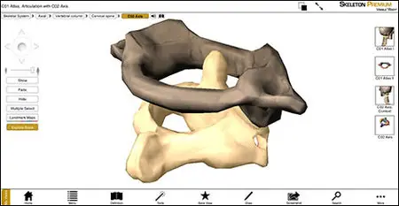 Visible Body Skeleton Premium v2.0.0 MacOSX (Repack)