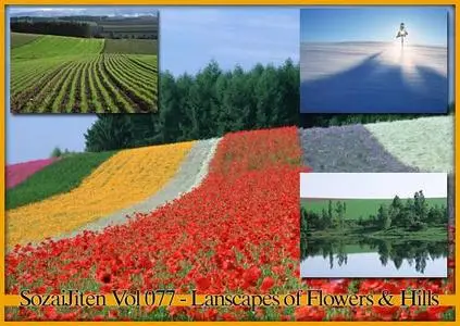 DataCraft SozaiJiten Vol 077 - Biei & Furano : Landscapes of Flowers and Hills