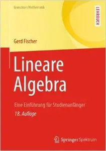 Lineare Algebra: Eine Einführung für Studienanfänger, Auflage: 18