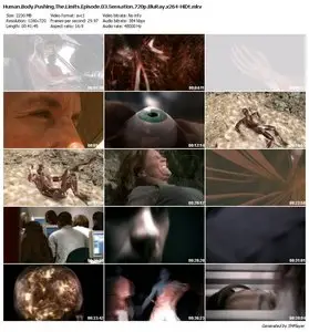 Human Body Pushing The Limits - Episode 3: Sensation (2008) 