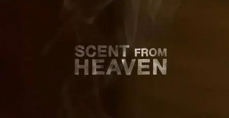 Al-Jazeera - Scent from Heaven (2016)