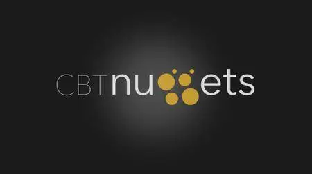 CBT Nuggets - Juniper Enterprise Routing and Switching Specialist (JN0-343) (2016)