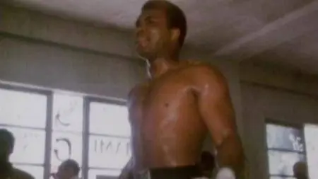 Foreman (2017)