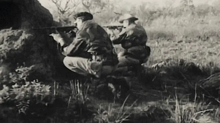 Cold Case Hammarskjöld (2019)