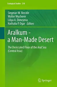 Aralkum - a Man-Made Desert: The Desiccated Floor of the Aral Sea (Central Asia)