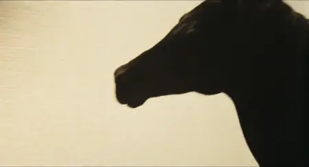 The Black Stallion (1979)