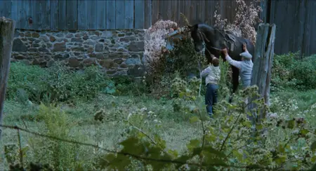 The Black Stallion (1979)