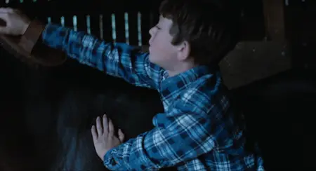 The Black Stallion (1979)
