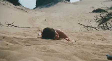 The Black Stallion (1979)