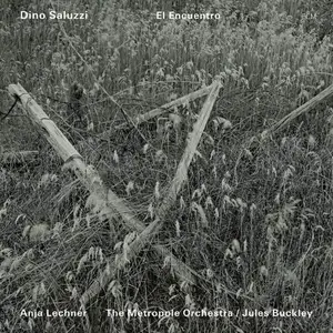 Dino Saluzzi - El Encuentro (2010) (New Rip)