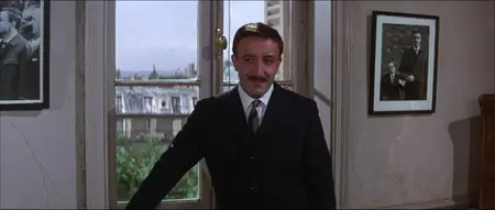 A Shot in the Dark (1964)