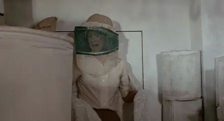 The Bees (1978)