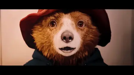 Paddington in Peru (2024)