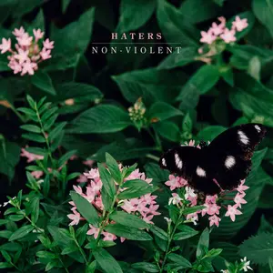 Haters - Non-Violent (2025)