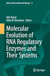 Molecular Evolution of RNA Regulatory Enzymes and Their Systems