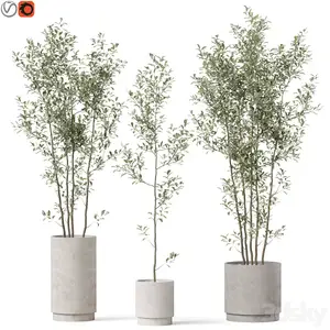 3dsky - Plants collection 901 4899791 - 3D Model