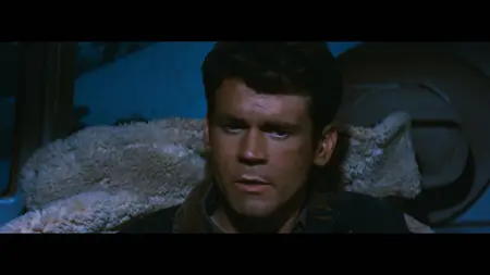 Bus Stop (1956)