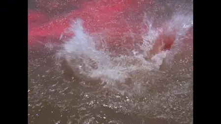 Sangue negli abissi (1989) Deep Blood