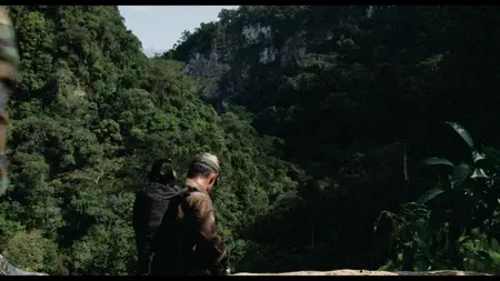 Predator (1987)