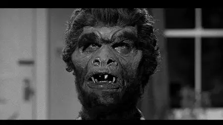 Monster on the Campus (1958) RE-UP