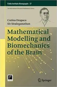 Mathematical Modelling and Biomechanics of the Brain