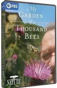 PBS - NATURE: My Garden of a Thousand Bees (2021)