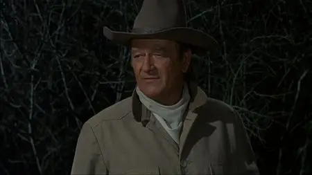 Rio Lobo (1970)
