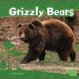 «Grizzly Bears» by Molly Kolpin