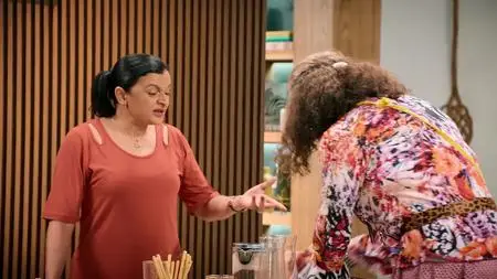 Smother-In-Law S02E04