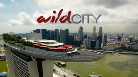 BSkyB - Singapore: Wild City-Series 1 (2016)