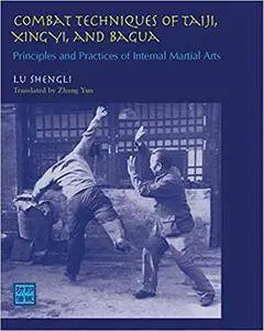Combat Techniques Taiji Xingyi: Principles and Practices of Internal Martial Arts