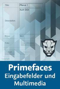 Video2Brain - Primefaces – Eingabefelder und Multimediaverarbeitung