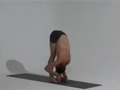 David Swenson And John Scott - Ashtanga Yoga [Repost]