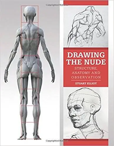 Drawing the Nude: Structure, Anatomy and Observation