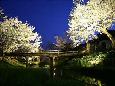 Japan Nature Wallpapers