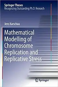 Mathematical Modelling of Chromosome Replication and Replicative Stress