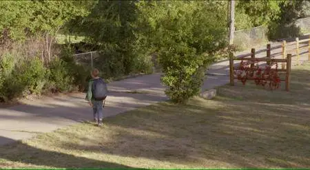 The Stray (2017)