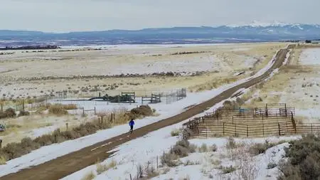 PBS - Human: The World Within S01E03