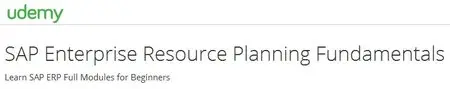 SAP Enterprise Resource Planning Fundamentals