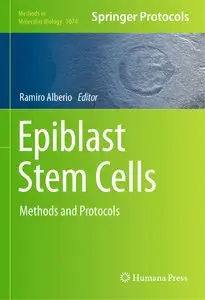 Epiblast Stem Cells: Methods and Protocols