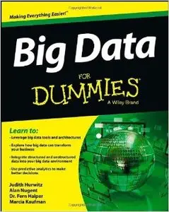 Big Data For Dummies (repost)