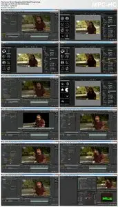Lynda - Fixing Video Exposure Problems in Premiere Pro CC